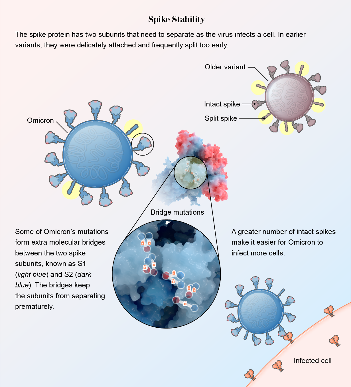 Why is getting plenty of rest important for COVID-19 patients?