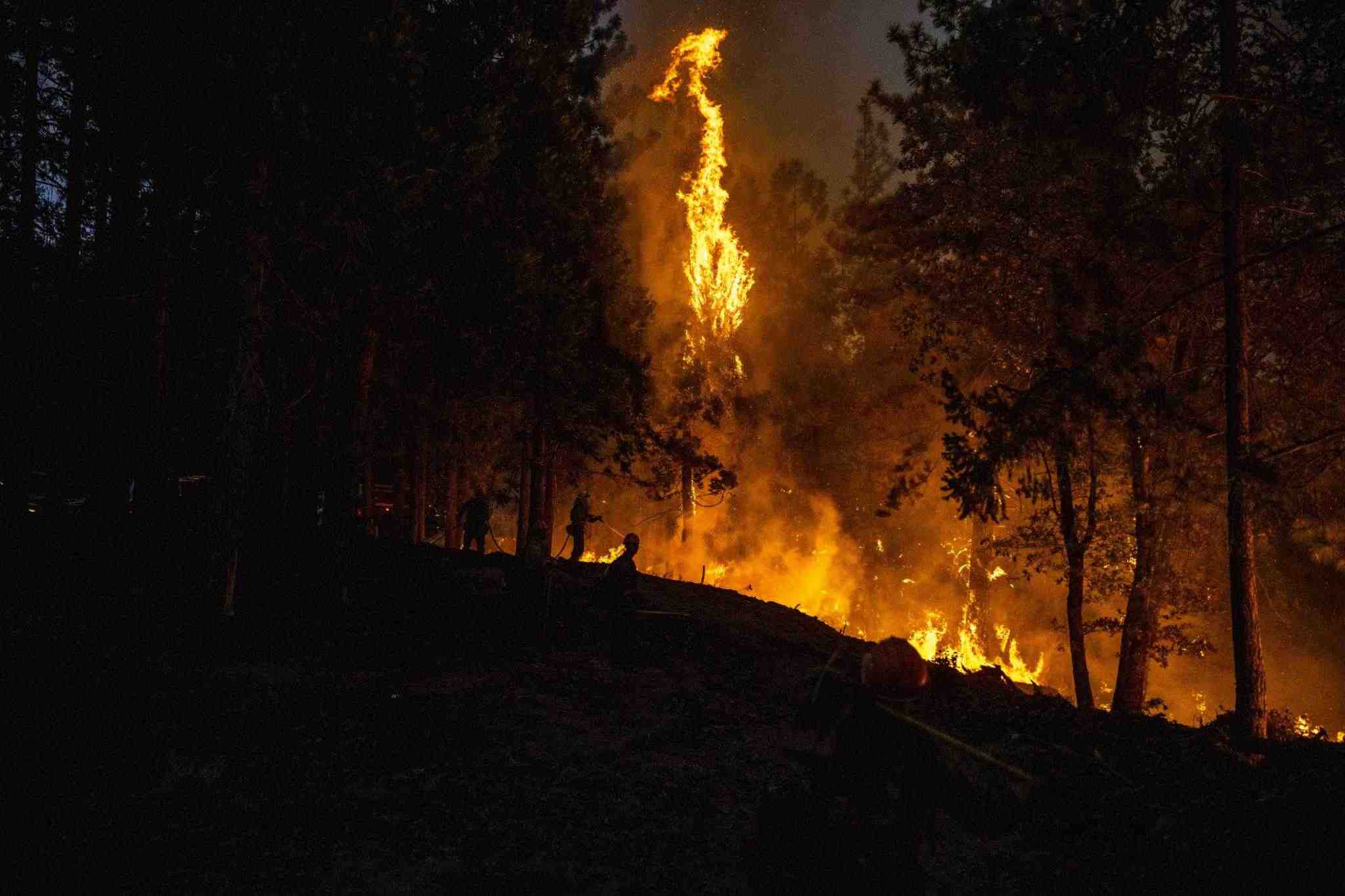 WHAT IS A wildfire caused by?